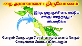 தை அமாவாசை+திருவோணம் - இந்த குச்சியை எங்கு பார்த்தாலும் விட்ராதீங்க|amavasai|thaiamavasai|panamsera