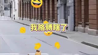 我胳膊瞎了给点钱吧