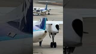 右メインギア点検？ANA WINGS Bombardier DHC-8-402Q Dash 8 - Ground Handling - 大阪国際（伊丹）空港 #Shorts