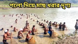 চলনবিলের গোমানী নদীতে পোলো দিয়ে মাছ ধরা || Fishing With Polo In Gomani River In Chalanbil