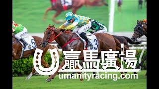 20230604「港林福將」勝出後練馬師羅富全訪問