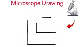 How to draw microscope | microscope drawing | microscope diagram | compound microscope drawing