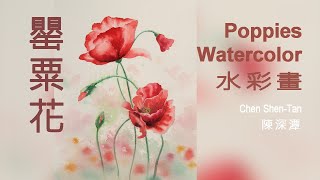 罌粟花/Poppies/Chen Shen-Tan#Watercolor#sketch#draw#art#painting#artist#水彩畫#素描#繪畫#壓克力畫