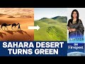 Sahara Turns Green: Should we Celebrate or Worry? | Vantage with Palki Sharma