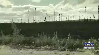 LIVE: Evacuated areas grow as statewide fire activity increases