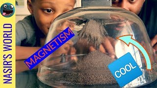 Magnetism: Easy at Home Experiment for Kids Using Magnets and Iron Fillings