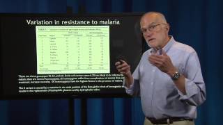 1.1 - Evolutionary Thinking: Natural Selection