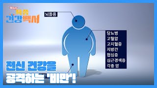 혈관을 통해 전신에 퍼지면서 비만 합병증을 유발하는 독성 물질의 정체는? MBN 230305 방송