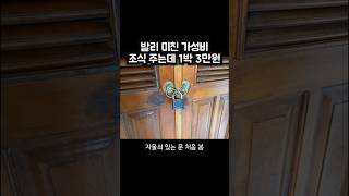 발리 사누르 숙소 1박에 3만원?? Swastika guesthouse