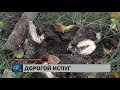 Хабаровчанка испугалась встречного автомобиля врезалась в ограду а потом повалила на машину дерево