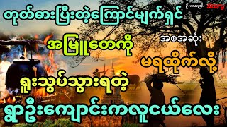 တုတ်ဓားပြီးတဲ့ ကြောင်မျက်ရှင်အမြူတေကို မရထိုက်လို့ရူးသွပ်သွားရတဲ့လူငယ်လေးရဲ့အဖြစ်ဆိုး (အစအဆုံး)