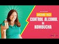 Kombucha and Alcohol: How to Control Alcohol in Kombucha