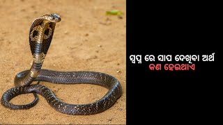 ସ୍ଵପ୍ନ ରେ ସାପ ଦେଖିବା ଅର୍ଥ | Snake Dream | Swapna re sapa dekhiba | MO Dunia Swapna Shastra