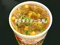 【なつかcm】nissin 日清カップヌードル ポーク 1999年