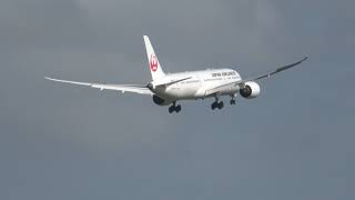 台風２０号強風 ゴーアラン （ウインドシアーアラーム？）JAL B787 Rwy16R 成田空港 nrthhh