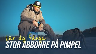 Lär dig fånga STOR abborre på pimpel