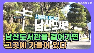 남산도서관을 걸어가면 그곳에 가을이 있다 | Namsan Library I 4K