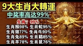 提前中大獎，端午節前好運 9生肖有好運，中獎率100%「這是財神爺送來的錢」 老師告訴我要記得買彩票，好運會從四面八方而來！