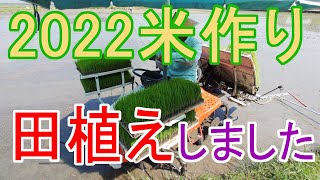 2022米作り－田植えしました－