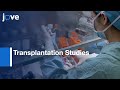 iNSCs Generation from PBMCs for Transplantation Studies | Protocol Preview