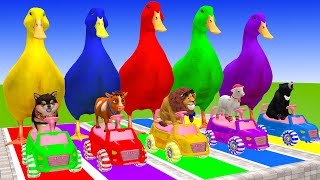 5 Giant Duck Cartoon,Cow,Dinosaur,Lion,Elephant,Sheep,Paint Wild Animals Crossing Fountain Animation