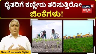 Koppal News | Deer | ಜಿಂಕೆ ವನ ನಿರ್ಮಾಣಕ್ಕೆ ಹೆಚ್ಚಿದ ಒತ್ತಡ! | N18V