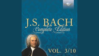 Concerto in G Minor, BWV 985: I. Allegro