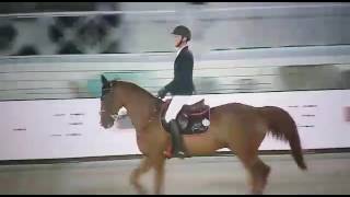 CSI5* Knokke -  Kevin Staut \u0026  Rêveur de Hurtebise*HDC - 1.50m barrage - 2017