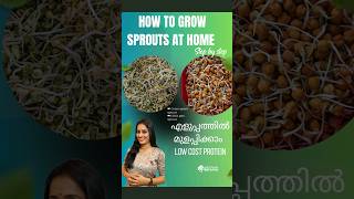 എളുപ്പത്തിൽ മുളപ്പിക്കാം #shortsfeed #shorts #sprout How to sprout with in one day