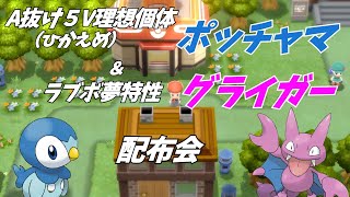 【ポケモンBDSP】夢特性グライガーとA抜け５Vポッチャマ　配布会