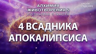 4 всадника апокалипсиса #Гарат #АЖ6  #Сознание #ЖивыеСеминары #школаСорадение