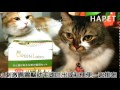 貓咪超愛～又能幫助刺激腸胃蠕動吐毛球！！｜日本greenlabo｜diy新鮮貓草｜★hapet 好寵 hapet.com.tw