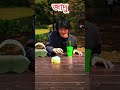 জাদু-The Magic #AbracaLOL#HocusHilarious#MagicGiggles#ChucklingConjuror#ComedySpell#TricksterTickles