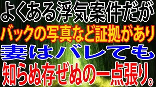 【修羅場】よくある浮気案件だが、バックの写真など証拠があり妻はバレても知らぬ存ぜぬの一点張り。