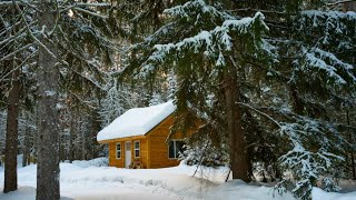 Blizzard Sounds for Sleep, Relaxation & Staying Cool | Snowstorm Sounds