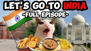 CAT MEMES: FAMILY VACATION COMPILATION EP.12 + EXTRA SCENES