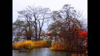 神仙沼　大谷地　大沼公園　函館　紅葉　北海道　スライド