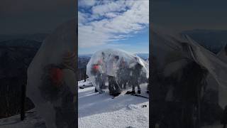 겨울등산 대박 아이템!! 오대산 비로봉 1,563m 정상.