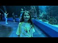 the world’s largest aquarium vlog 2021 every day with emma🌎