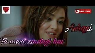 Tu Meri Zindagi Hai   Sonu Kakkar   Aashiqui ||hayat &murat || New Cover 2016 HD high quality