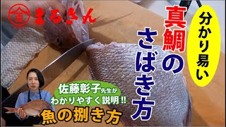 真鯛の捌き方【つり具のまるきん】料理研究家 佐藤彰子先生