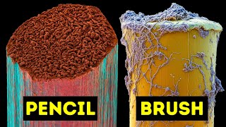 Daily Items Under Electron Microscope HD