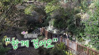 조잘조잘 걷당보민 [함께 걸어요] KBS제주 230110방송