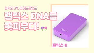 화제의 DAC 겸 헤드폰앰프. 캘릭스 DNA를 꽃피우다! 캘릭스 K