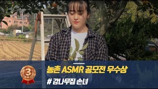 [농촌자원 활용 ASMR 공모전 우수상 수상작] 감나무집 손녀