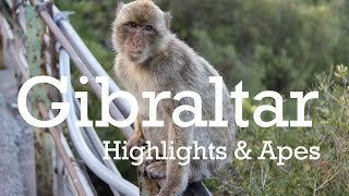 Gibraltar Highlights with Barbary Apes and Babies - Travel Vlog