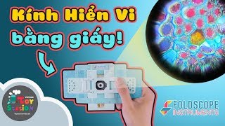 Không ngờ Kính Hiển Vi bằng giấy Foldscope lại có thể nhìn được thứ này ToyStation 397