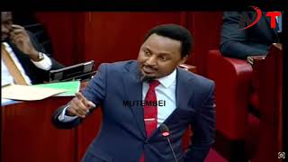 Gachagua sio Umbwa!!Drama as Senator Karungo Thangwah Cries in Senate!!