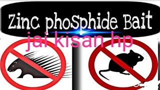 Rats Control Treatment (Zinc Phosphide) चूहों को भगाने का आसान तरीका