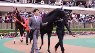 クロコスミア優勝！！2017府中牝馬S